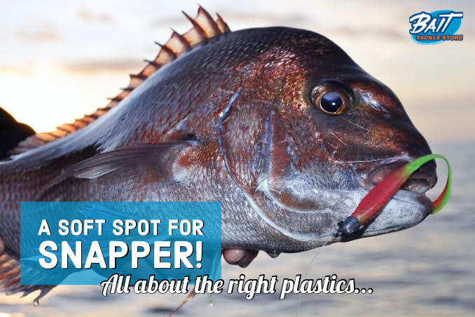 A soft spot for Snapper! All about the right plastics...