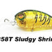 DAMIKI Disco Deep 38 Sludgy Shrimp - Bait Tackle Store