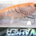 DAMIKI Walker 70 341T Ghost Fire Shell - Bait Tackle Store