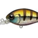 EVERGREEN Combat Crank 250 50 - Baby Gill (6247) - Bait Tackle Store