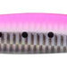 IMA Gun 130g 004 Pink Sardines - Bait Tackle Store