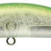 IMA Honey Trap 95S #HT 029 Lime Star Clear - Bait Tackle Store