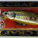 LUCKY CRAFT Pointer 100 MS Aurora Shad - Bait Tackle Store