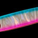 MEGABASS Ginpei 40g G Blue-Pink - Bait Tackle Store