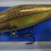 RAPALA SDRS-09 Shadow Rap Shad 3X Live Brown Trout - Bait Tackle Store