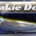 ZIPBAITS ZBL Fakie Dog 510R (6107) - Bait Tackle Store