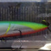 ZIPBAITS ZBL Popper 537R (6060) - Bait Tackle Store
